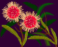 Diamond Flower